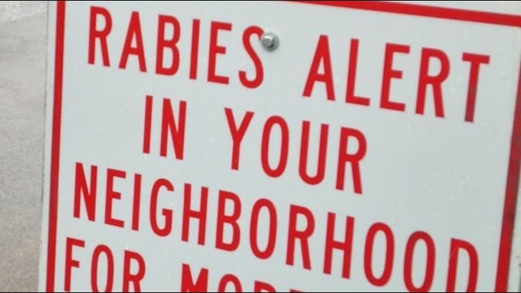 Positive rabies alert issued in Hall County after dog tests positive — Kennesaw Community news